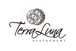 Cliente Terra Luna - Cuenca Media Agencia de Marketing Digital